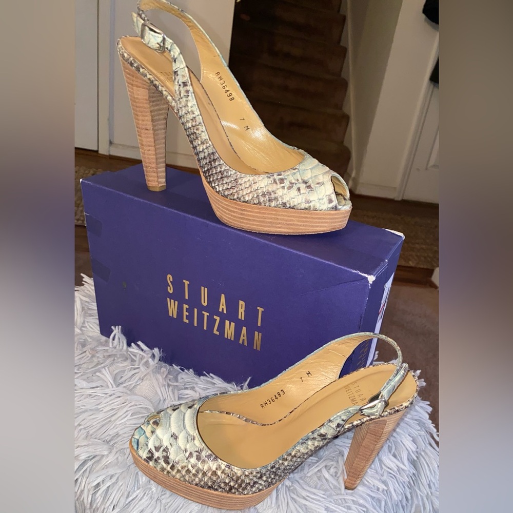 Designer’s Shoes